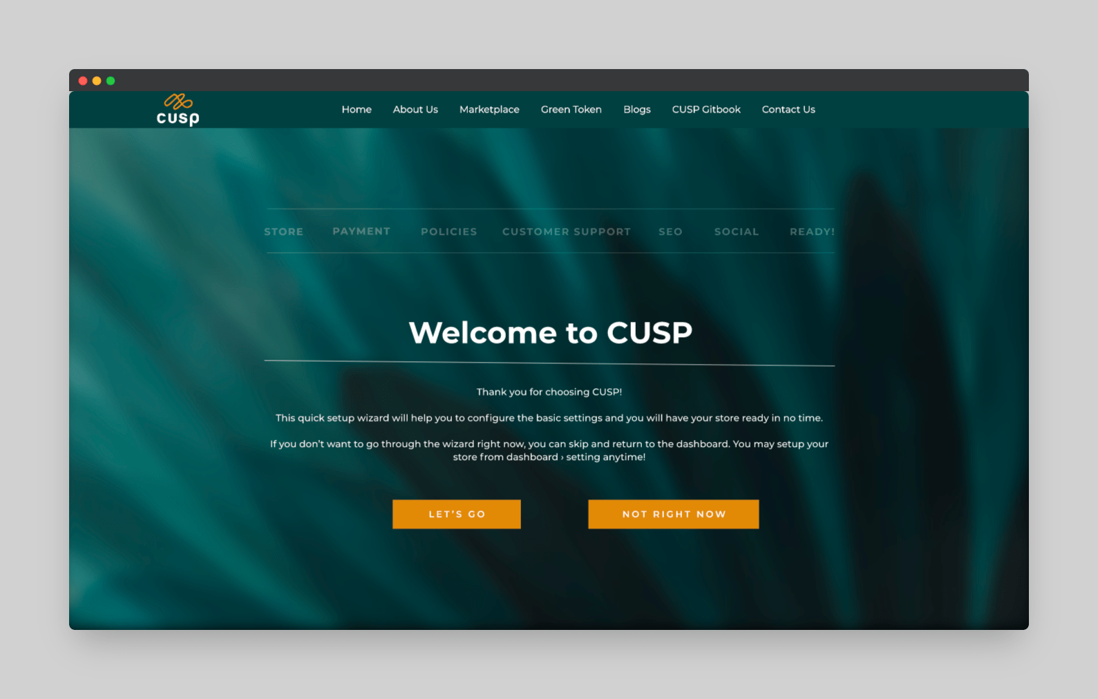 CUSP gallery 4